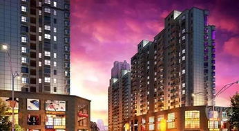 十余城市將重啟限購 促房地產業健康發展