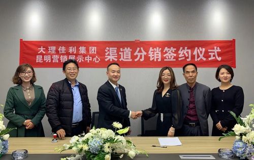 大理佳利集團(tuán)昆明營銷展示中心開放儀式隆重舉行