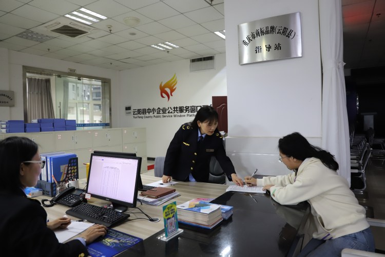 知識產(chǎn)權(quán)強(qiáng)縣戰(zhàn)略賦能 市場主體跑出量質(zhì)提升“加速度”——以云陽實(shí)踐為例